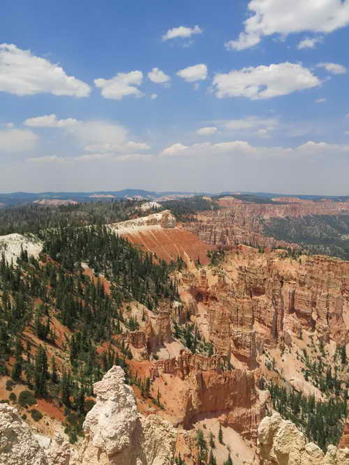 USA_2013-07-10 12-45-38_IMG_1478